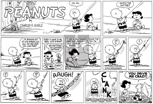 Peanuts on Sunday May 29, 1955 Comic Strip