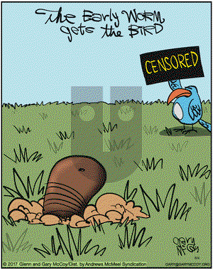 The Flying McCoys on Saturday August 4, 2018 Comic Strip
