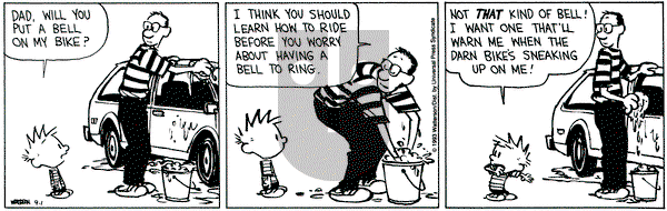 Calvin and Hobbes on Wednesday September 1, 1993 Comic Strip