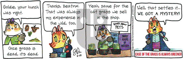 Breaking Cat News on Monday February 17, 2020 Comic Strip