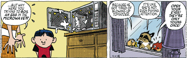 Over the Hedge on Friday November 14, 2014 Comic Strip