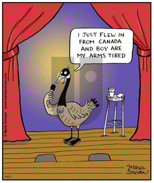 Half Full on Wednesday October 23, 2013 Comic Strip
