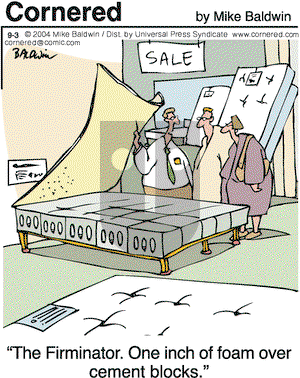 Cornered on Friday September 3, 2004 Comic Strip