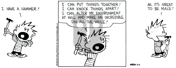 Calvin and Hobbes on Thursday August 3, 1995 Comic Strip