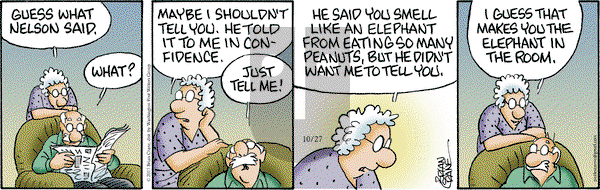 Pickles - Friday October 27, 2017 Comic Strip