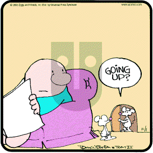 Ziggy - Saturday November 1, 2003 Comic Strip