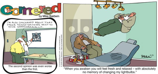 Cornered on Sunday September 25, 2016 Comic Strip