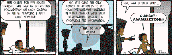 The Boondocks on Saturday July 15, 2006 Comic Strip