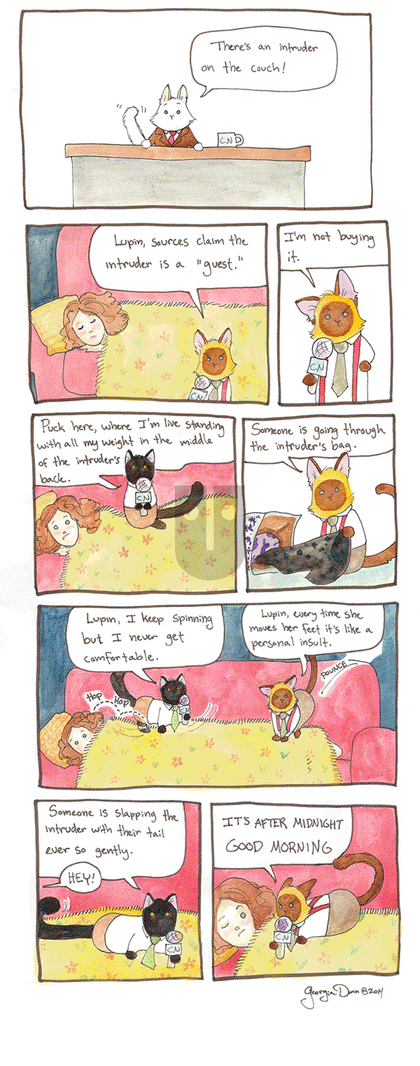 Breaking Cat News on Tuesday October 4, 2016 Comic Strip
