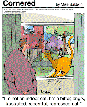 Cornered - Friday July 22, 2011 Comic Strip