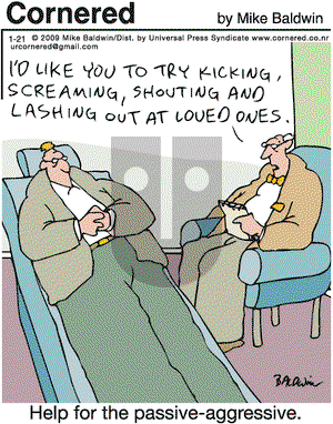 Cornered on Wednesday January 21, 2009 Comic Strip