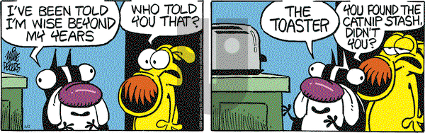 Mother Goose and Grimm on Saturday August 2, 2025 Comic Strip