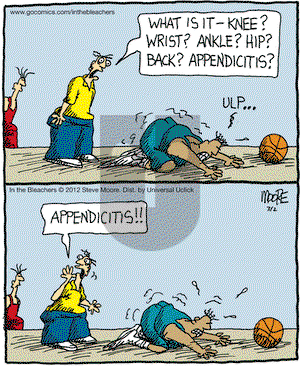 In the Bleachers - Friday March 2, 2012 Comic Strip