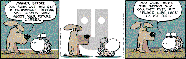 DeFlocked on Tuesday June 24, 2008 Comic Strip