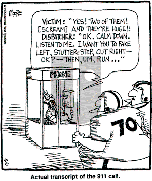 In the Bleachers on Wednesday November 8, 1995 Comic Strip