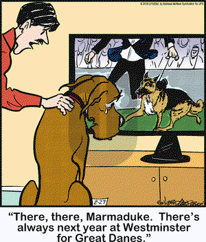 Marmaduke on Tuesday February 27, 2018 Comic Strip