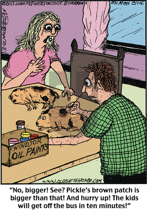 Close to Home on Monday October 2, 2017 Comic Strip