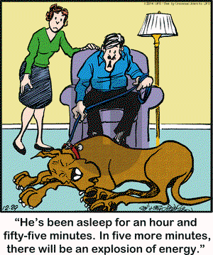 Marmaduke on Monday December 29, 2014 Comic Strip