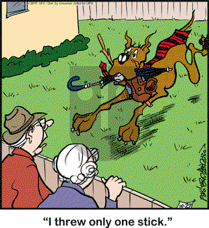 Marmaduke on Tuesday October 27, 2015 Comic Strip