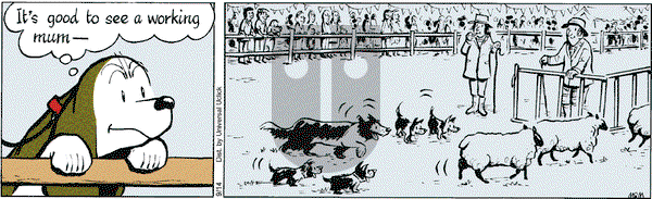Fred Basset on Saturday September 14, 2013 Comic Strip