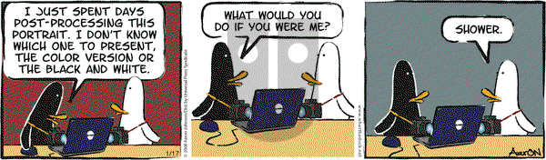 W.T. Duck on Saturday January 17, 2009 Comic Strip