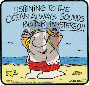 Ziggy on Saturday August 24, 2019 Comic Strip