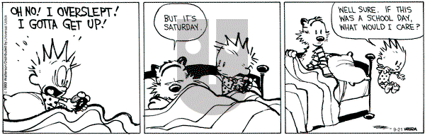 Calvin and Hobbes on Saturday September 21, 2013 Comic Strip