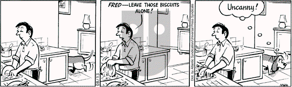 Fred Basset on Wednesday August 13, 2008 Comic Strip