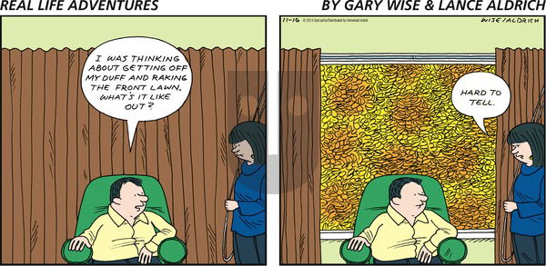 Real Life Adventures on Sunday November 16, 2014 Comic Strip