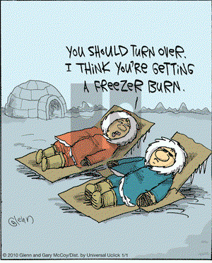 The Flying McCoys on Friday January 1, 2010 Comic Strip