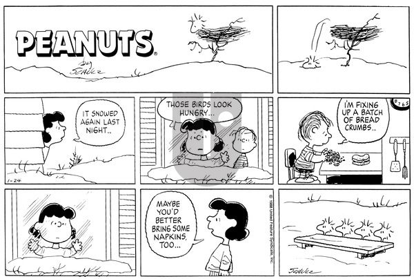 Peanuts on Sunday January 24, 1988 Comic Strip