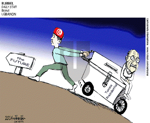 ViewsAfrica on Wednesday December 24, 2014 Comic Strip