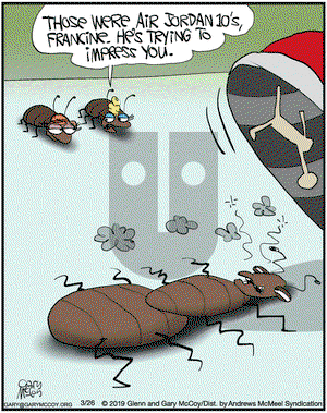 The Flying McCoys on Tuesday March 26, 2019 Comic Strip
