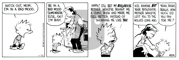 Calvin and Hobbes on Friday November 25, 1988 Comic Strip