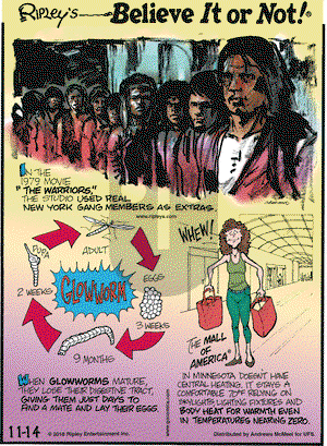 Ripley's Believe It or Not on Wednesday November 14, 2018 Comic Strip
