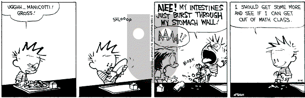 Calvin and Hobbes - Thursday November 16, 1995 Comic Strip