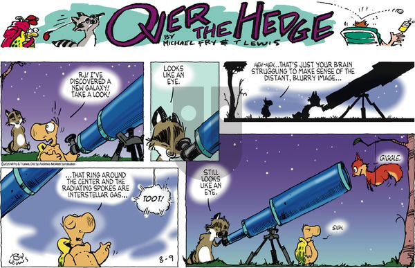 Over the Hedge on Sunday August 9, 2020 Comic Strip