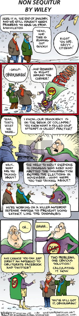 Non Sequitur - Sunday January 30, 2022 Comic Strip