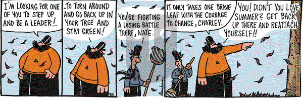 Overboard on Wednesday September 21, 2011 Comic Strip