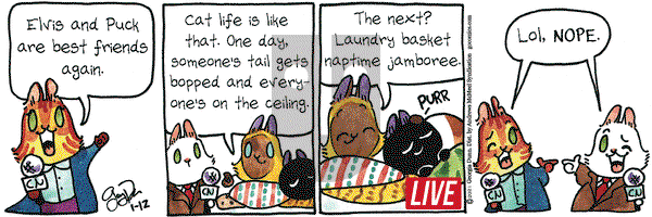 Breaking Cat News on Tuesday January 12, 2021 Comic Strip