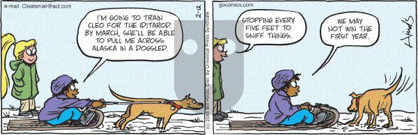 Cleats - Tuesday February 12, 2008 Comic Strip