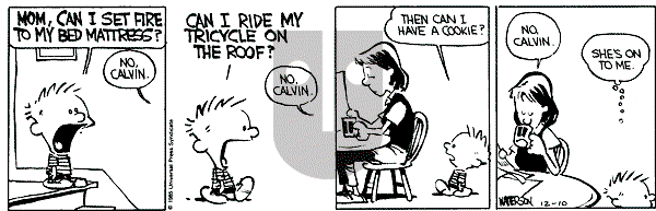 Calvin and Hobbes - Tuesday December 10, 1985 Comic Strip