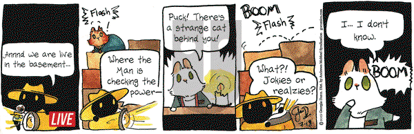 Breaking Cat News on Thursday July 18, 2019 Comic Strip