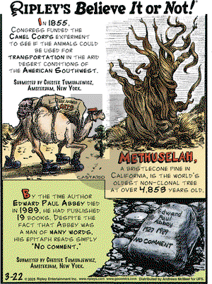 Ripley's Believe It or Not on Saturday March 22, 2025 Comic Strip