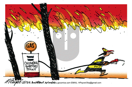 Henry Payne on Monday January 13, 2025 Comic Strip