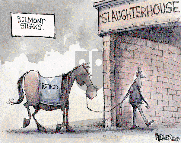 Matt Davies on Saturday June 6, 2015 Comic Strip