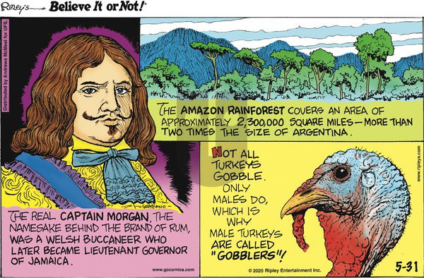 Ripley's Believe It or Not on Sunday May 31, 2020 Comic Strip