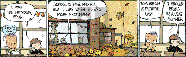 Wallace the Brave on Wednesday November 4, 2020 Comic Strip