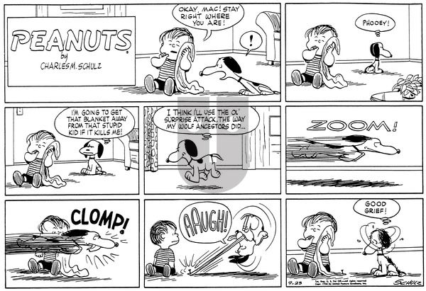 Peanuts on Sunday September 23, 1956 Comic Strip