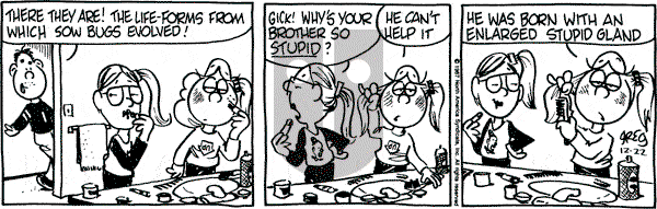 Luann on Tuesday December 22, 1987 Comic Strip